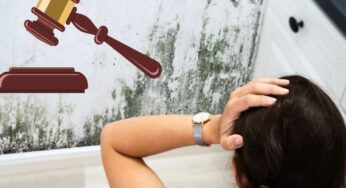 Muffa in casa, posso chiedere la restituzione della cauzione? Cosa dice la legge